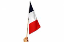 Drapeau avec Hampe 24 Dordogne 30 x 45 cm