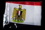 Drapeau Egypte 30 x 45 cm