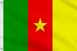 Drapeau Cameroun 30 x 45 cm