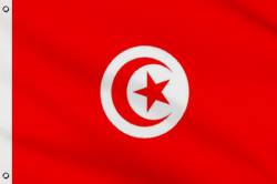 Drapeau Tunisie 30 x 45 cm