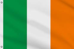 Drapeau République d'Irlande 30 x 45 cm