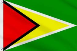 Drapeau Guyana 90 x 150 cm