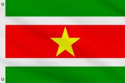 Drapeau Suriname 90 x 150 cm