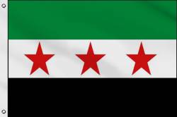 Drapeau Syrie Conseil National 2012 90 x 150 cm