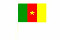 Drapeau avec Hampe Cameroun 30 x 45 cm