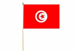 Drapeau avec Hampe Tunisie 30 x 45 cm