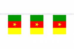 Guirlande 9 mtres de 30 Drapeaux 15 x 22.5 cm Cameroun