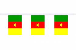 Guirlande 9 mtres de 30 Drapeaux 15 x 22.5 cm Cameroun