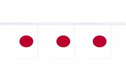Guirlande 9 mtres de 30 Drapeaux 15 x 22.5 cm Japon