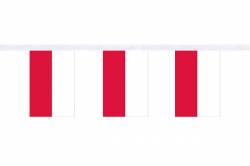 Guirlande 9 mtres de 30 Drapeaux 15 x 22.5 cm Pologne