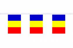 Guirlande 9 mtres de 30 Drapeaux 15 x 22.5 cm Roumanie