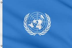 Drapeau de l'ONU 60 x 90 cm 