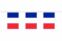 Guirlande 9 mtres de 30 Drapeaux 15 x 22.5 cm Irlande